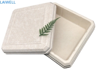 45*45*25MM Beige Color Sustainable Bagasse Box Lightweight EcoPack Accessories Custom And Reusable For Eco-Conscious Packaging