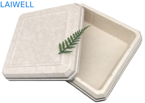 45*45*25MM Beige Color Sustainable Bagasse Box Lightweight EcoPack Accessories Custom And Reusable For Eco-Conscious Packaging