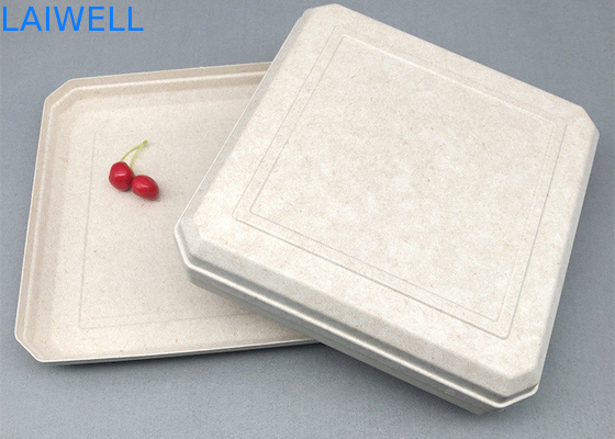 45*45*25MM Beige Color Sustainable Bagasse Box Lightweight EcoPack Accessories Custom And Reusable For Eco-Conscious Packaging