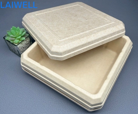 45*45*25MM Beige Color Sustainable Bagasse Box Lightweight EcoPack Accessories Custom And Reusable For Eco-Conscious Packaging
